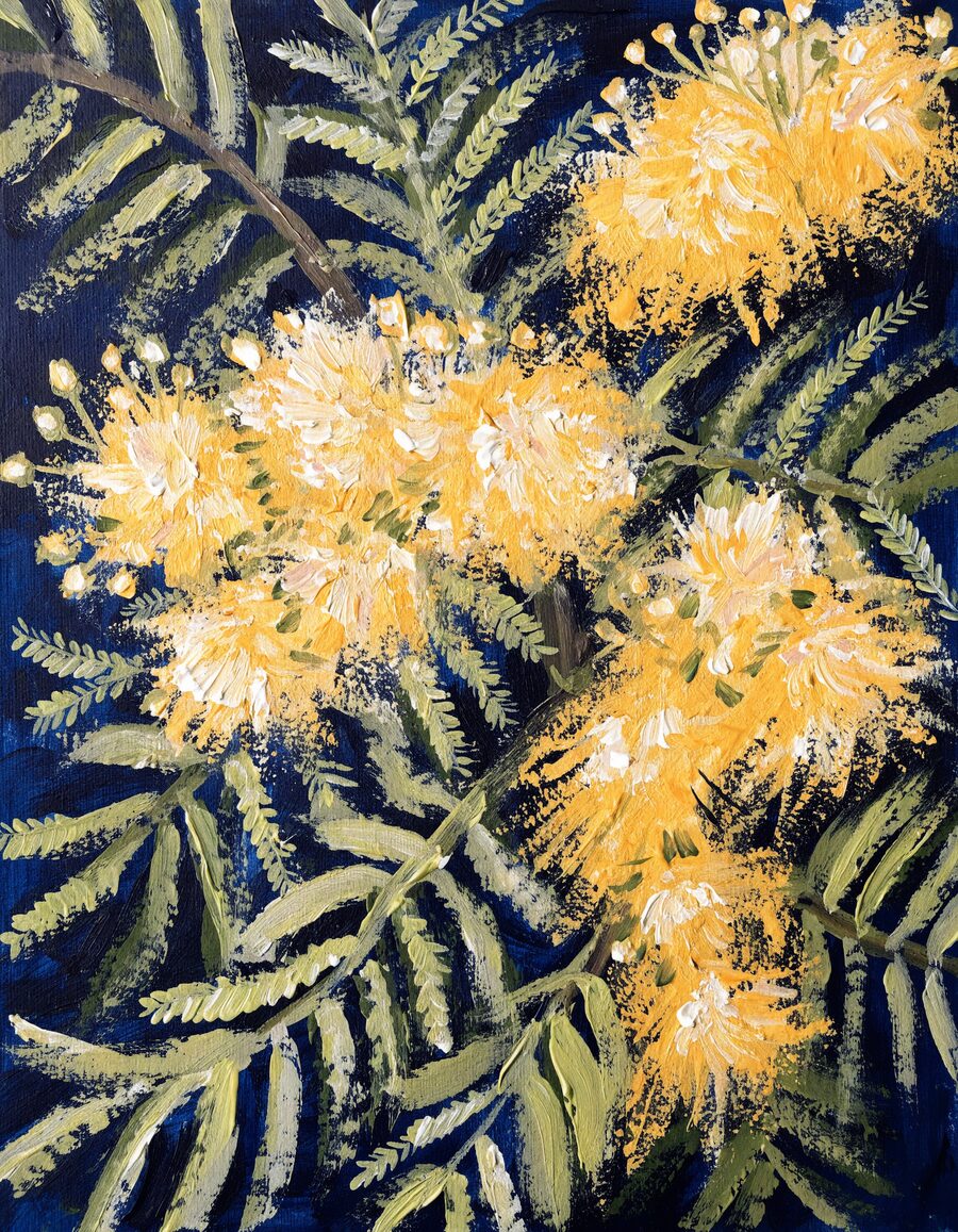 Golden wattle artwork