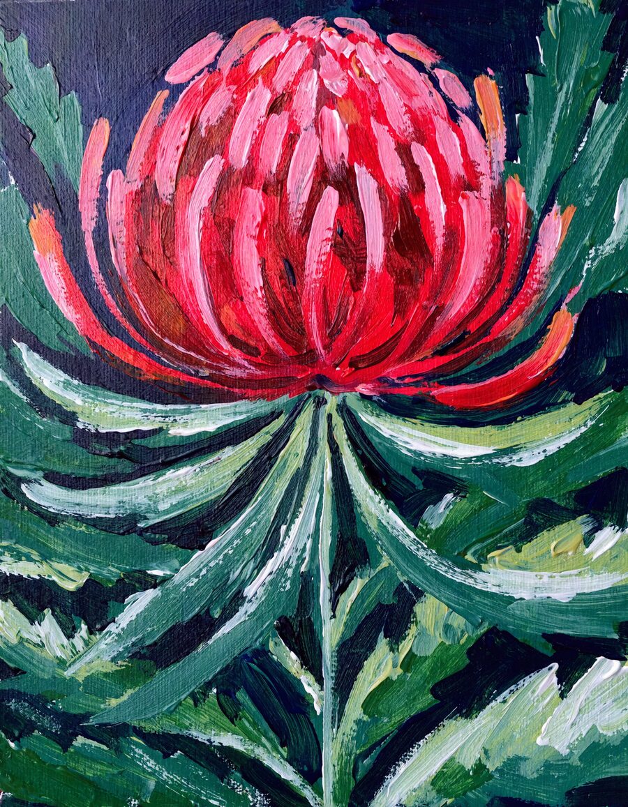 Vivid Australian waratah botanical artwork